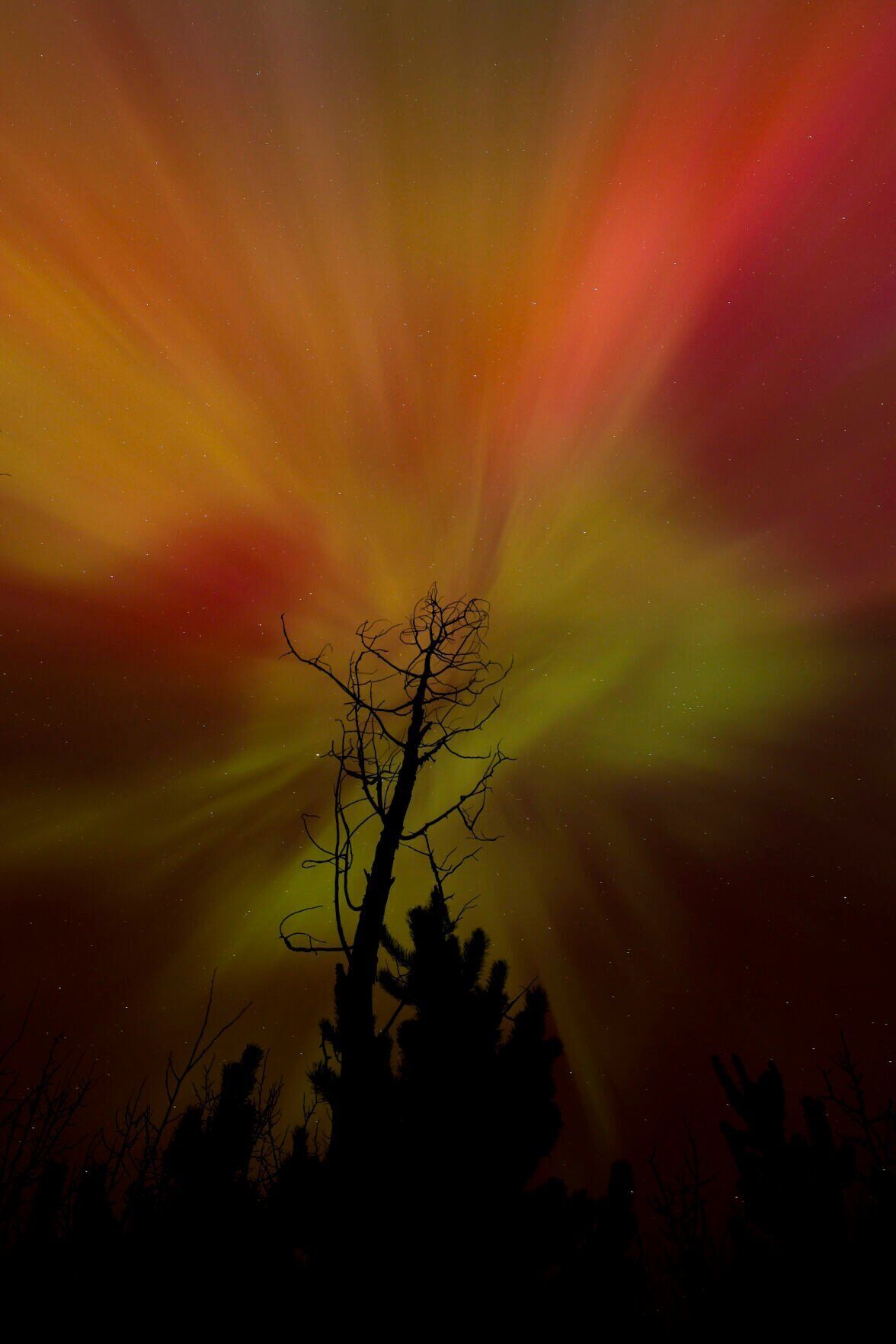 xxxx24-stnd-nws-borealis-004.jpg